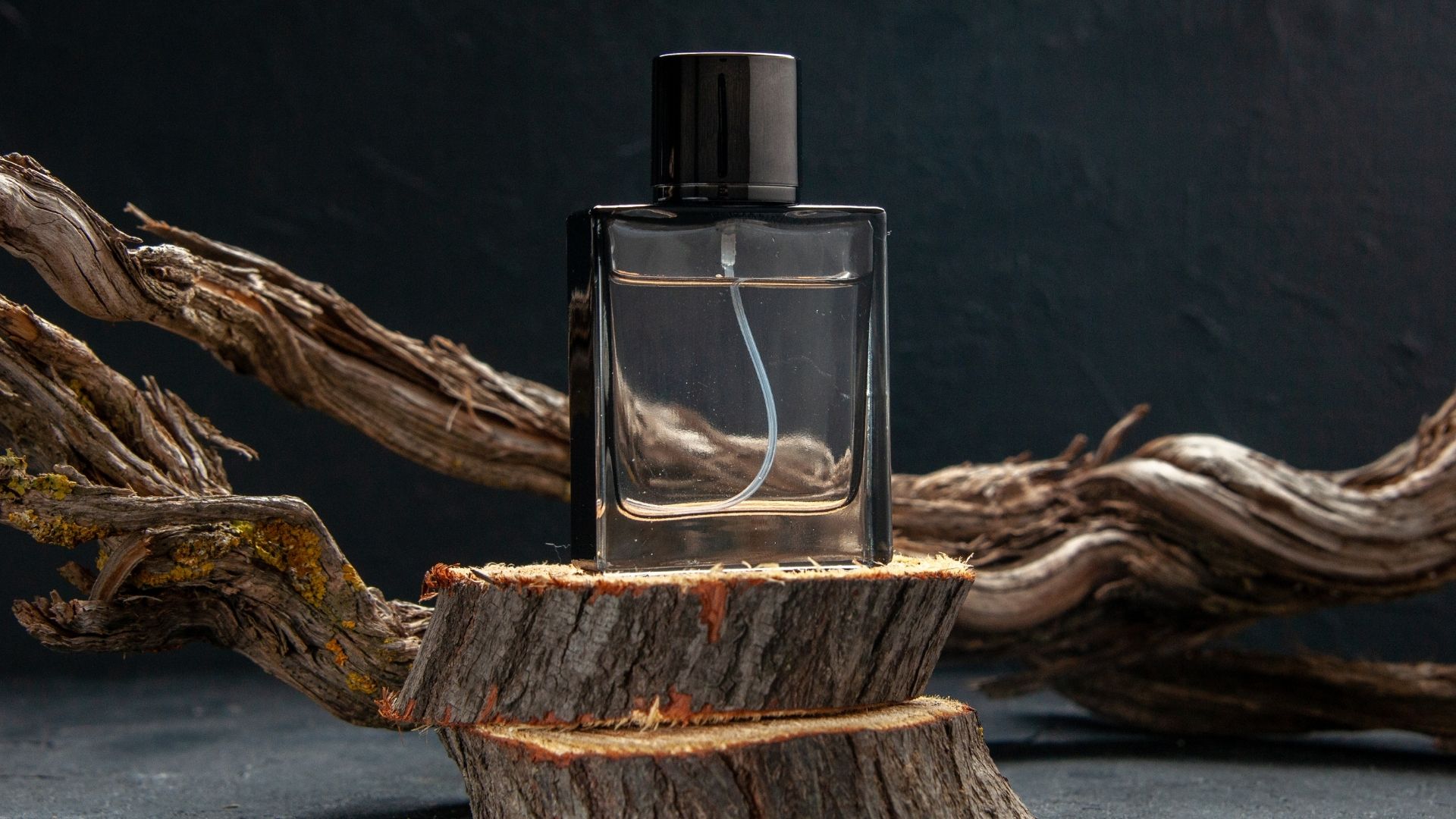 Flakon perfum na korze drzewa