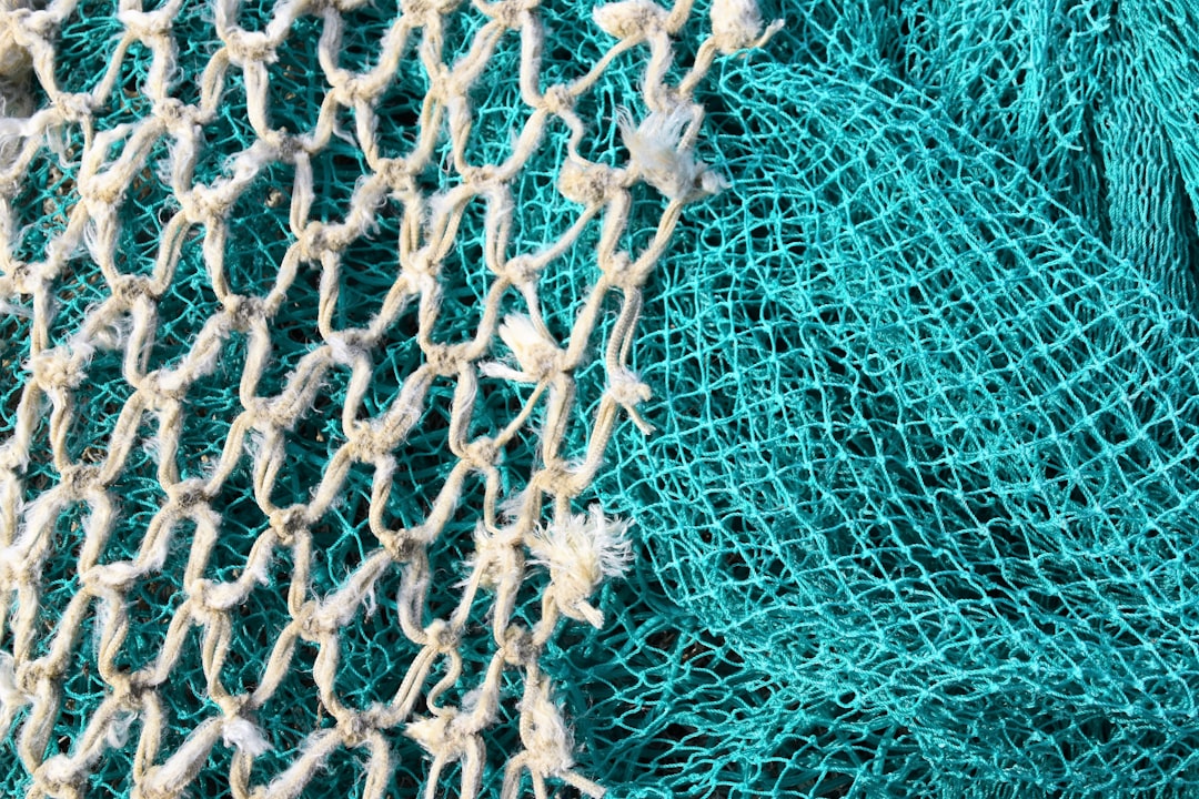 Photo fishnets